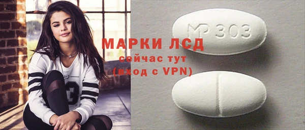 хмурый Инсар