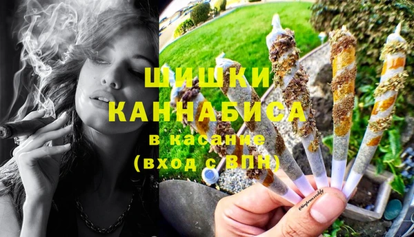 трава Белокуриха