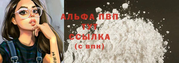трава Белокуриха
